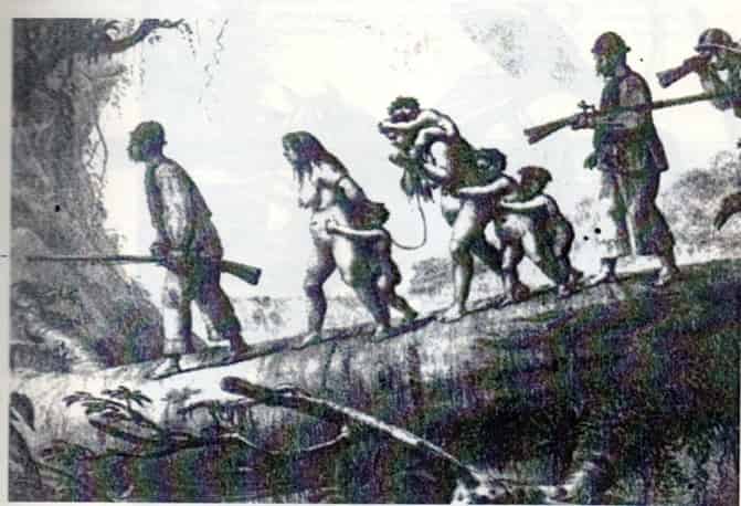 O atributo alt desta imagem está vazio. O nome do arquivo é Ilustracao-4.jpg