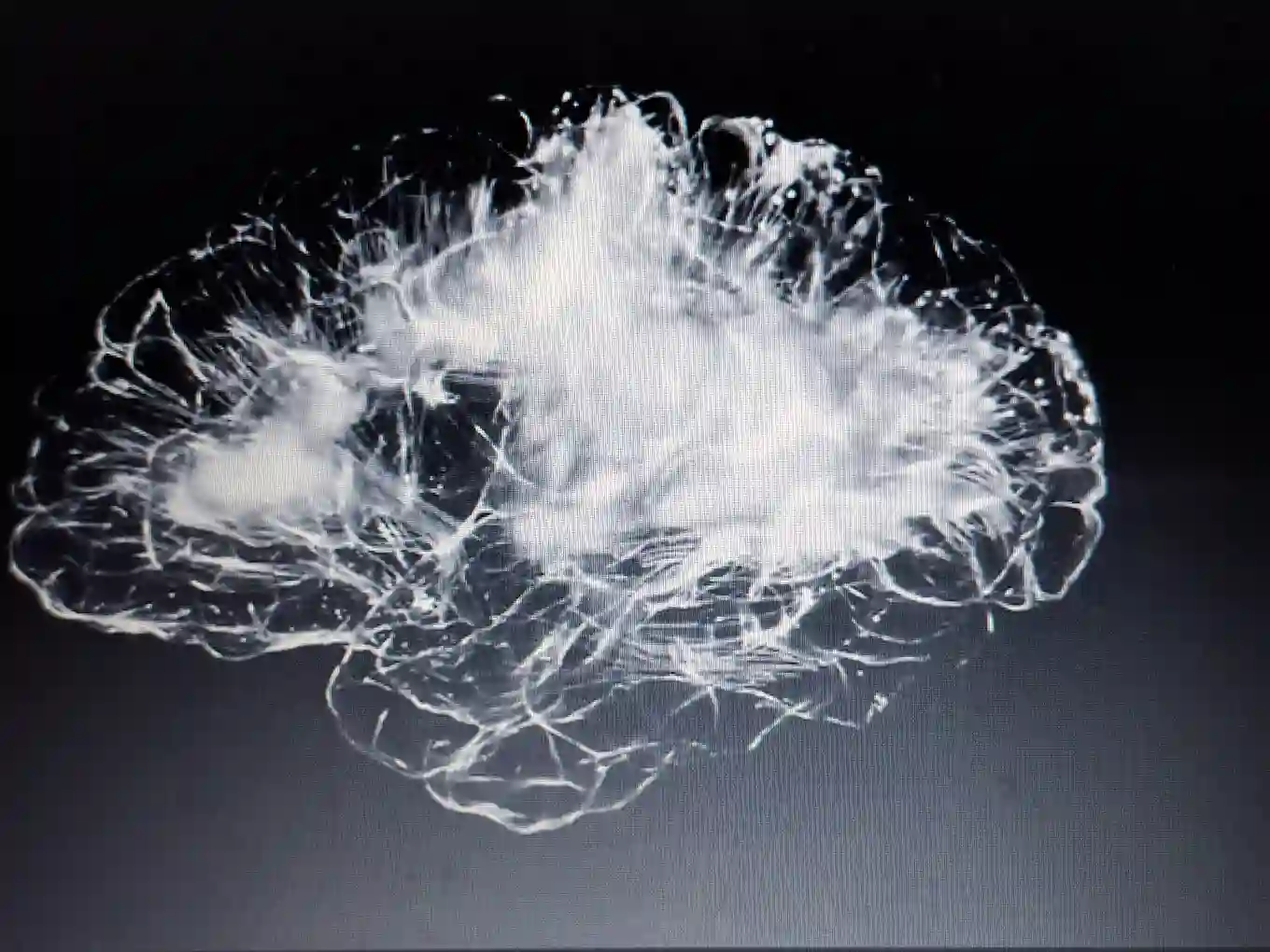 A Neurosciencia da Percussão