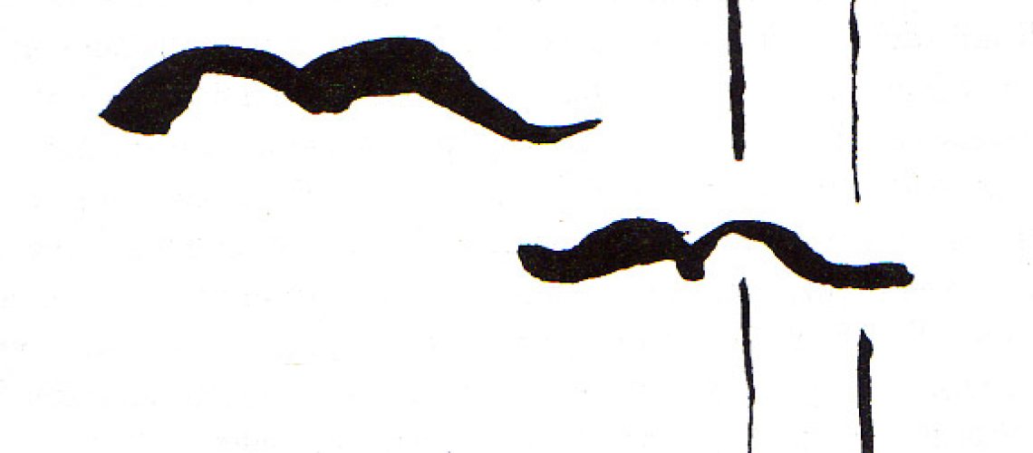 C:\Users\Arthur\Pictures\Figura 15.jpg